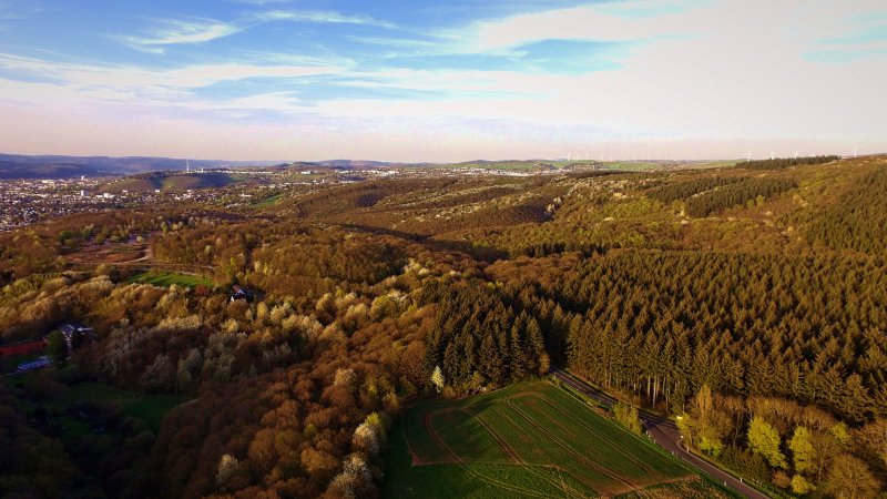 Mattheiser Wald