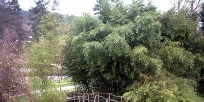 Botanischer Garten