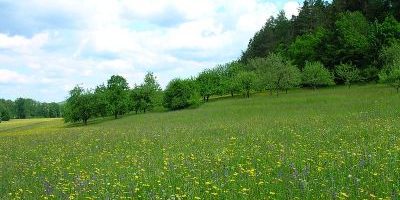 Bühler Tal und Unterer Bürg