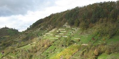 Hirschauer Berg
