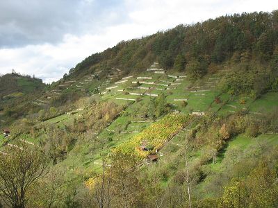 Hirschauer Berg
