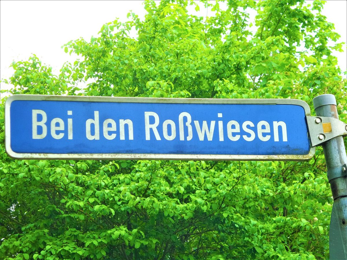 Shedhalle