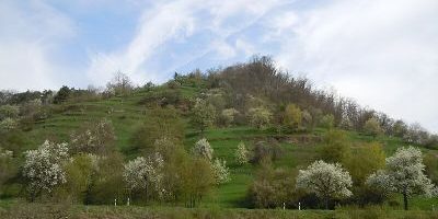 Spitzberg - Ödenburg