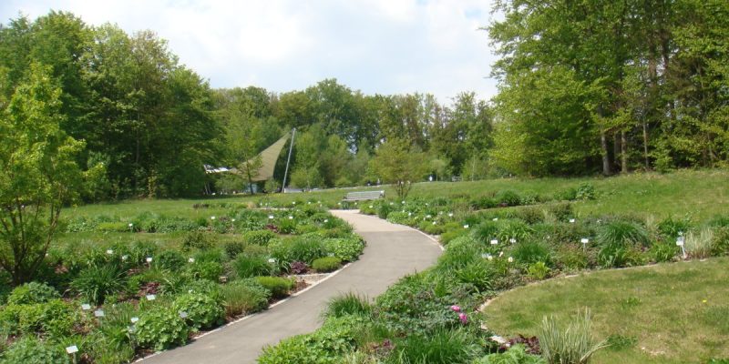 Botanischer Garten der Universität Ulm
