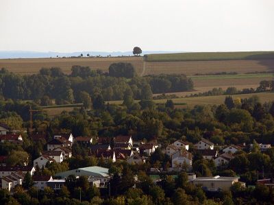 Gerd-Walter-Linde