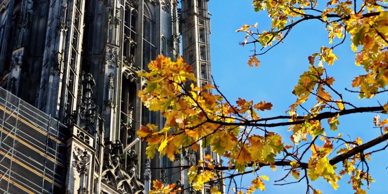 Glockenspiel