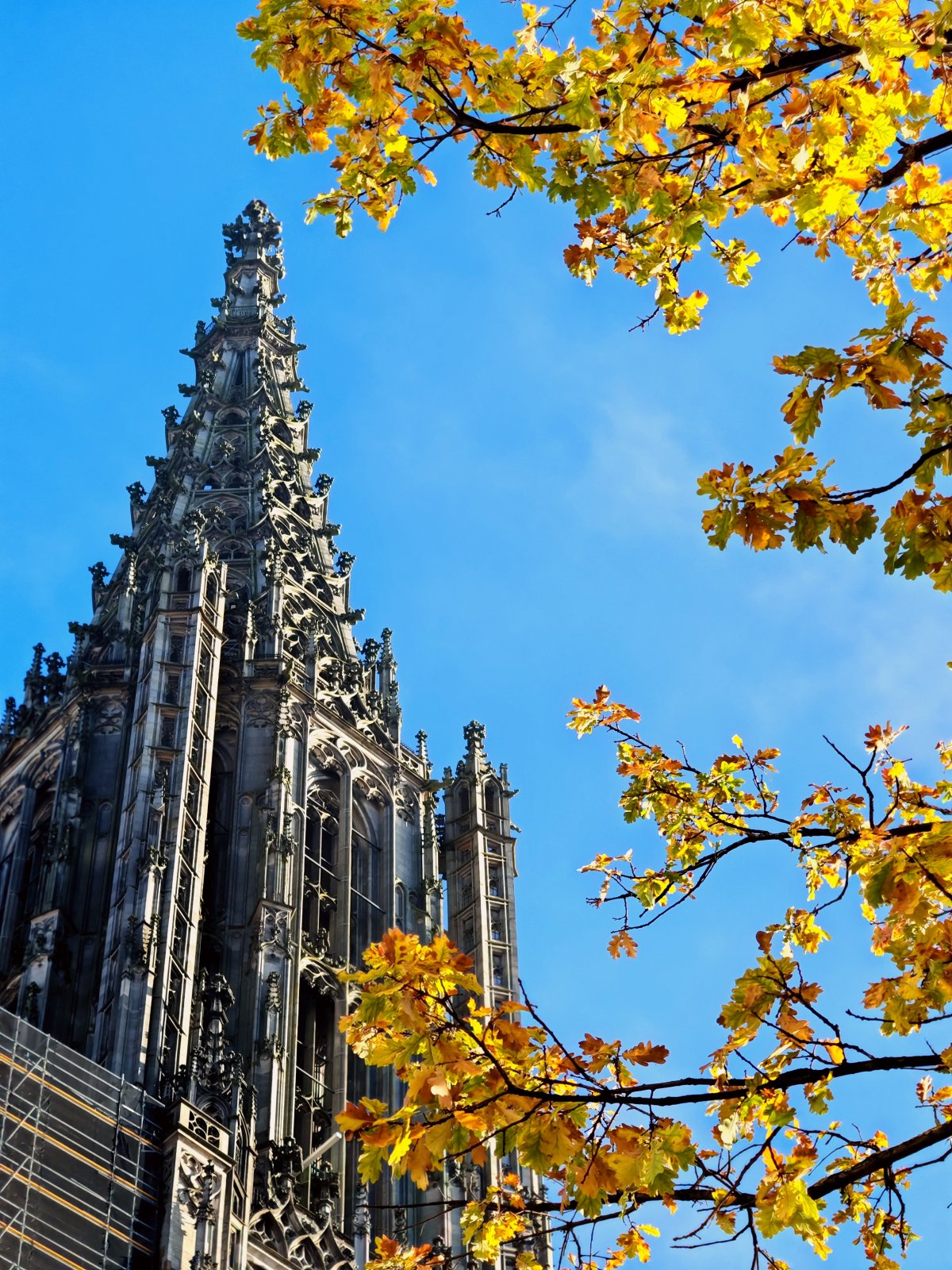 Glockenspiel