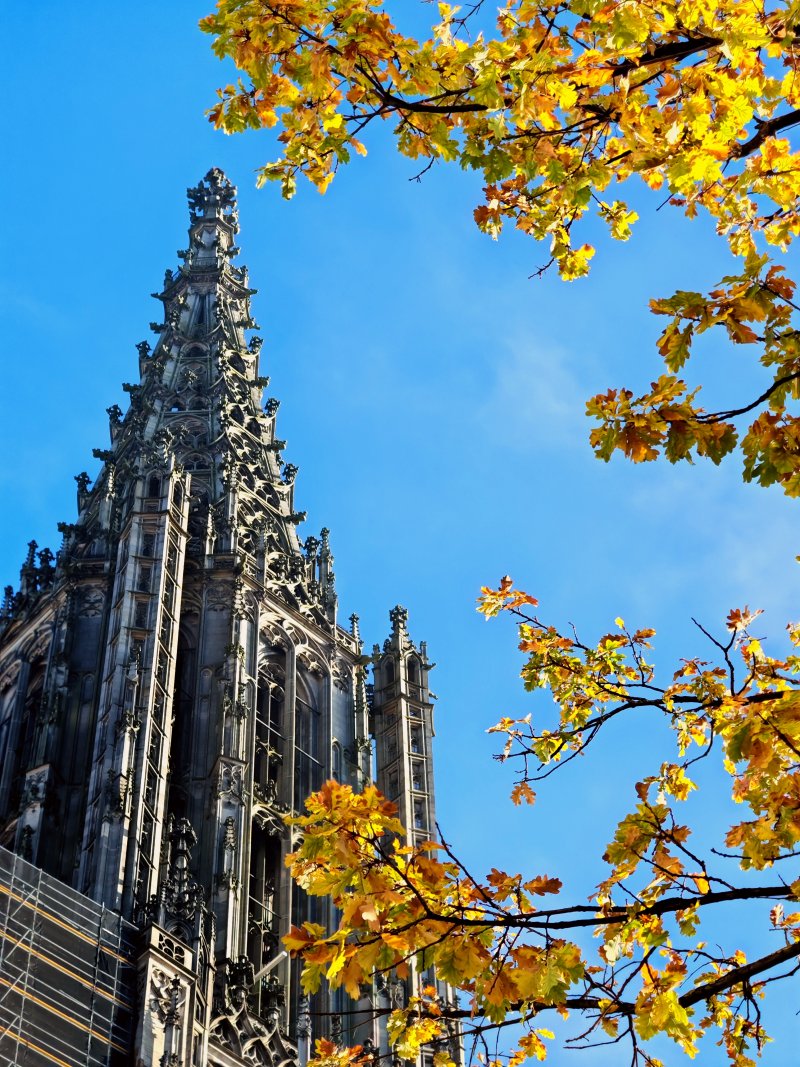 Glockenspiel