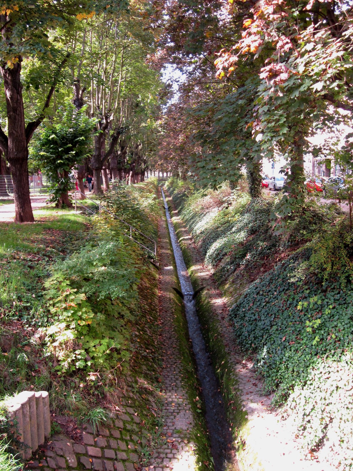 Asbach-Grünzug