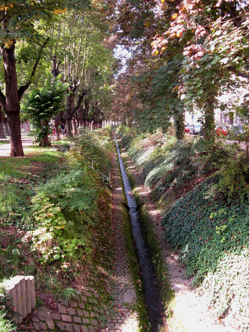 Asbach-Grünzug