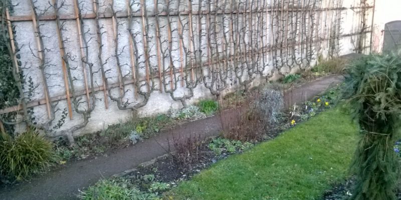 Biedermeiergarten