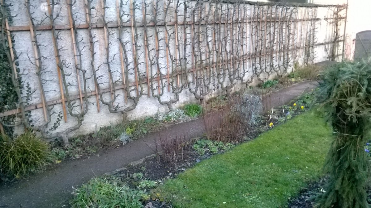 Biedermeiergarten