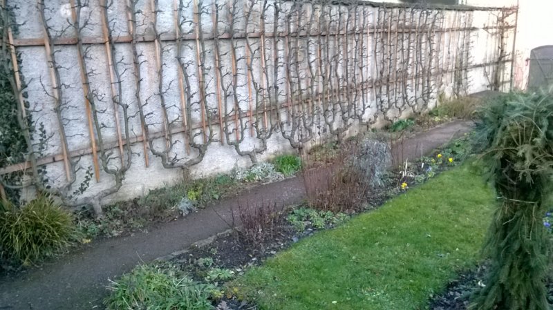 Biedermeiergarten