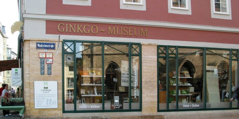 Ginkgo-Museum