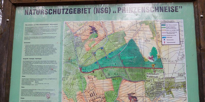 Prinzenschneise