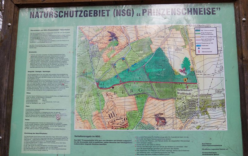 Prinzenschneise