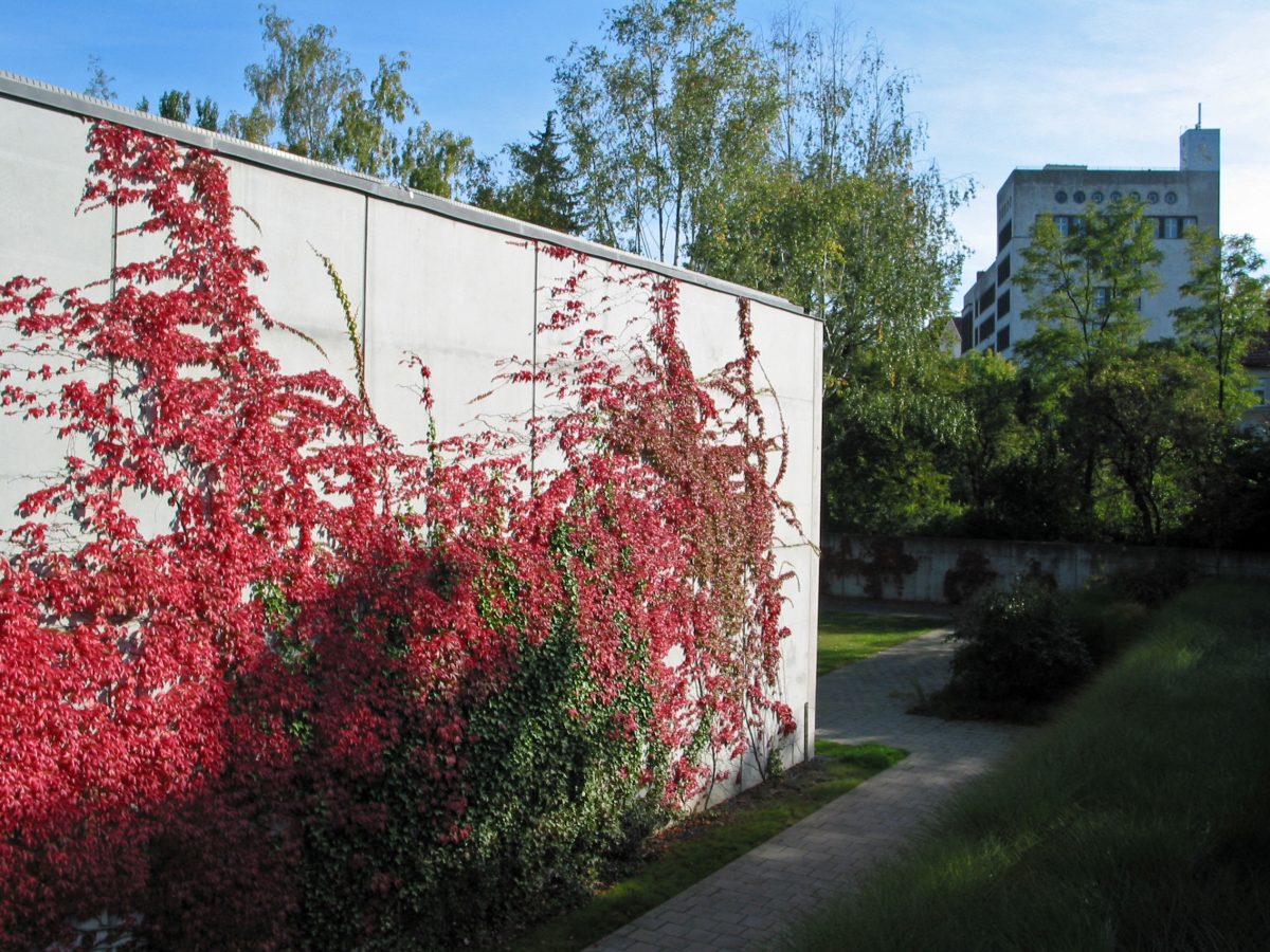 Schwanseebad Schwimmhalle