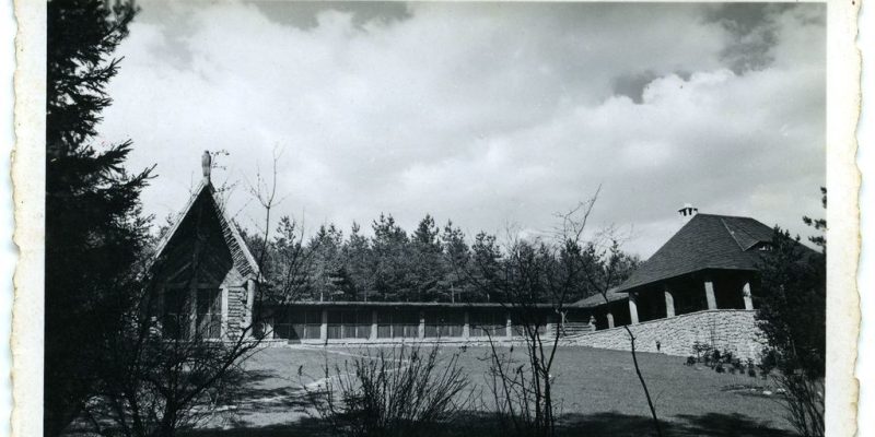 SS falcon yard