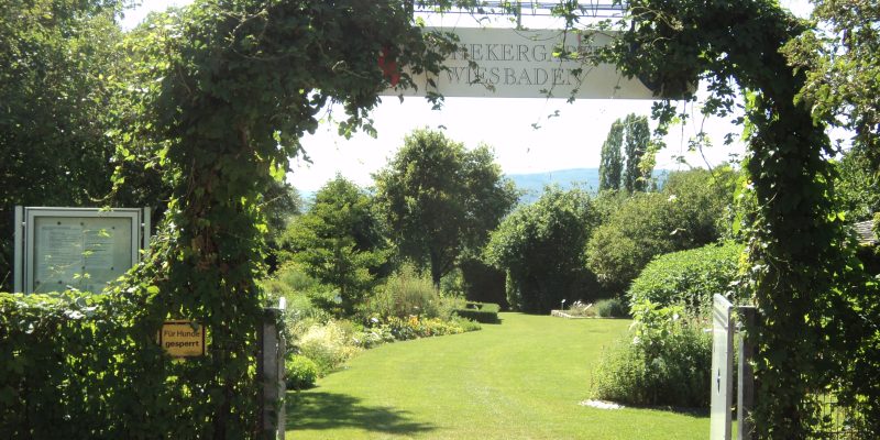 Apothekergarten Wiesbaden