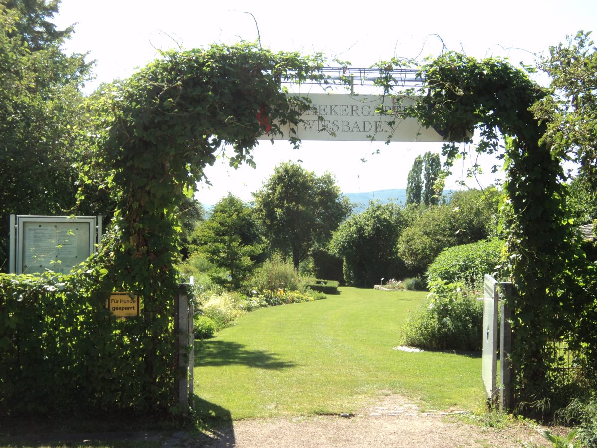 Apothekergarten Wiesbaden