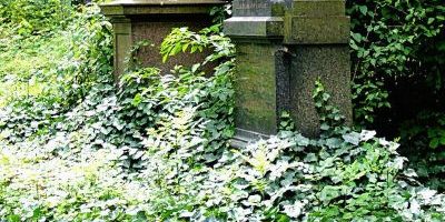 Freizeitpark Alter Friedhof