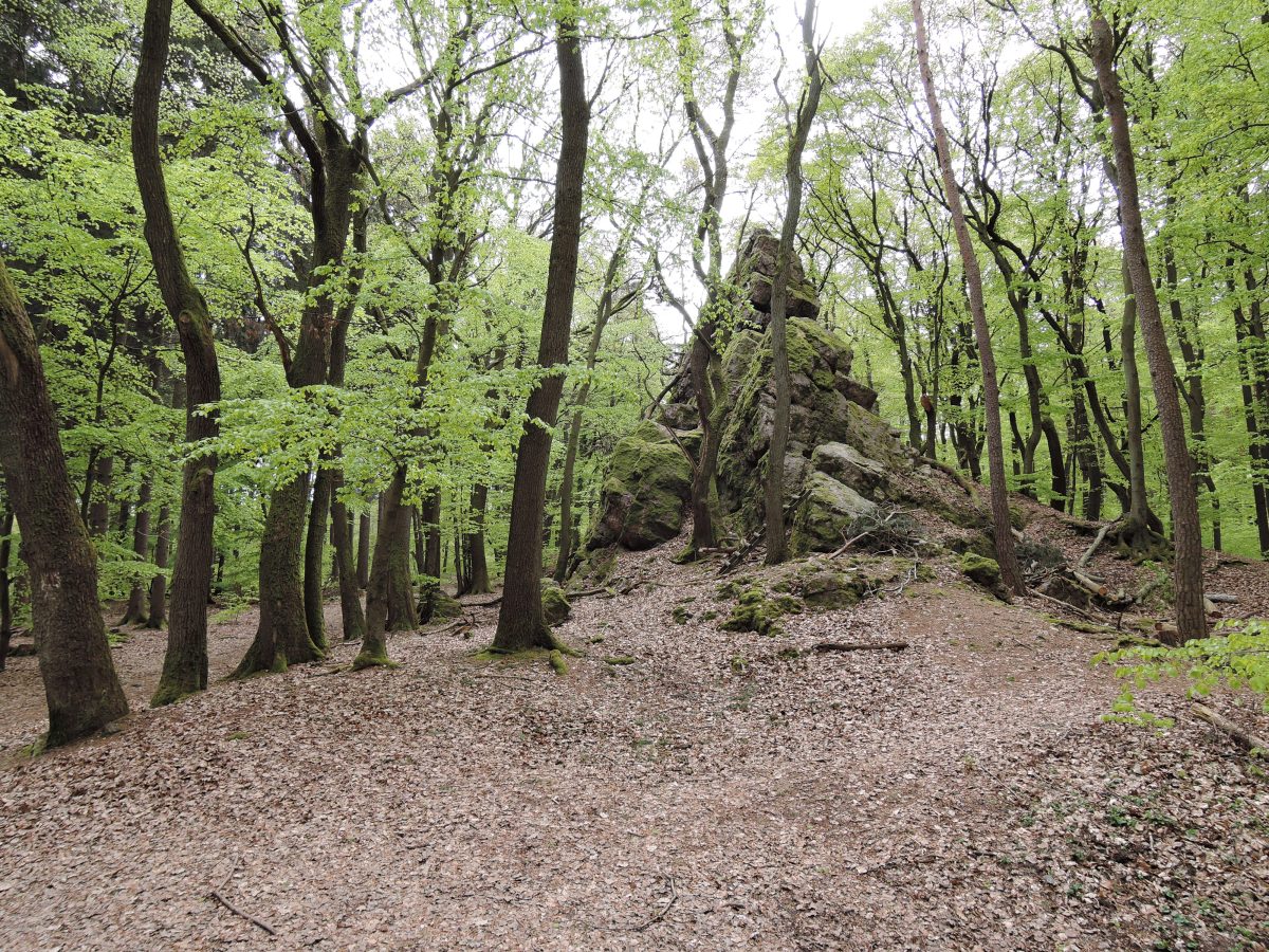 Grauer Stein
