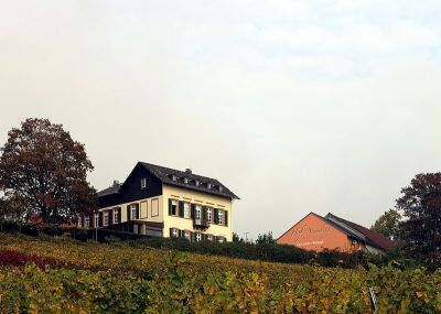 Nürnberger Hof