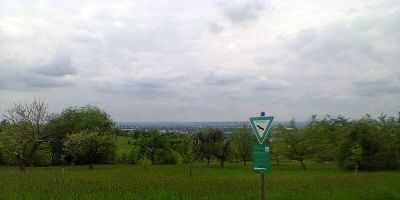 Prügelwiesen bei Wiesbaden in Breckenheim