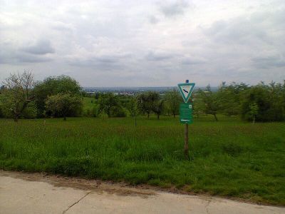 Prügelwiesen bei Wiesbaden in Breckenheim