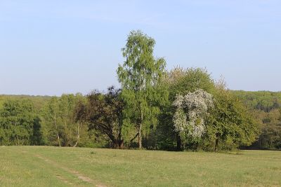 Rabengrund von Wiesbaden
