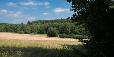 Rechtebachtal bei Georgenborn