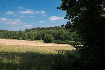 Rechtebachtal bei Georgenborn