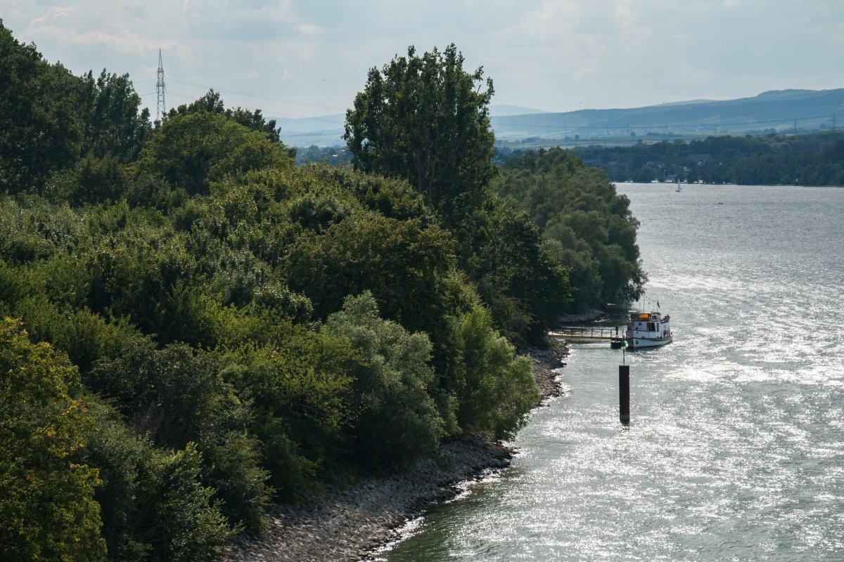 Rettbergsaue bei Wiesbaden