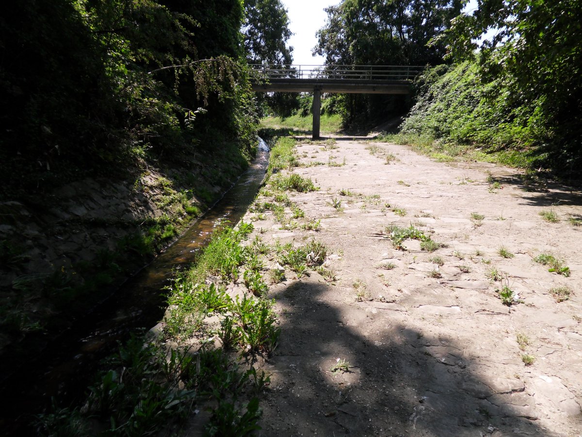 Salzbachkanal (Südost)