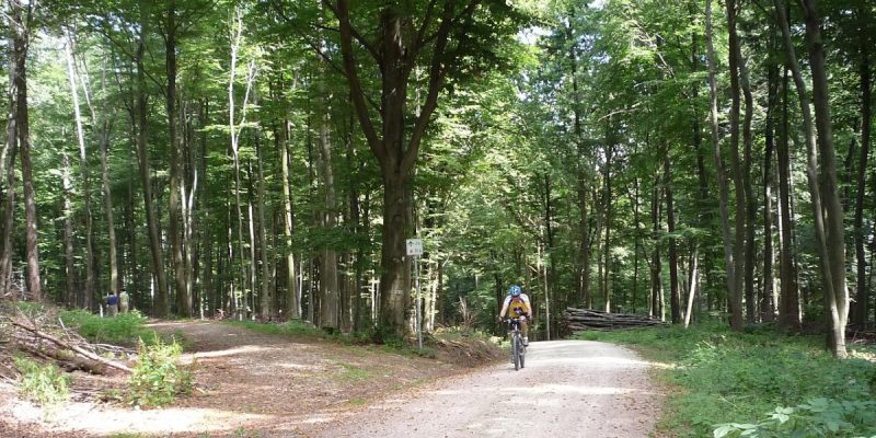 Steinhaufen
