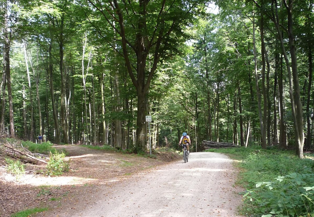 Steinhaufen