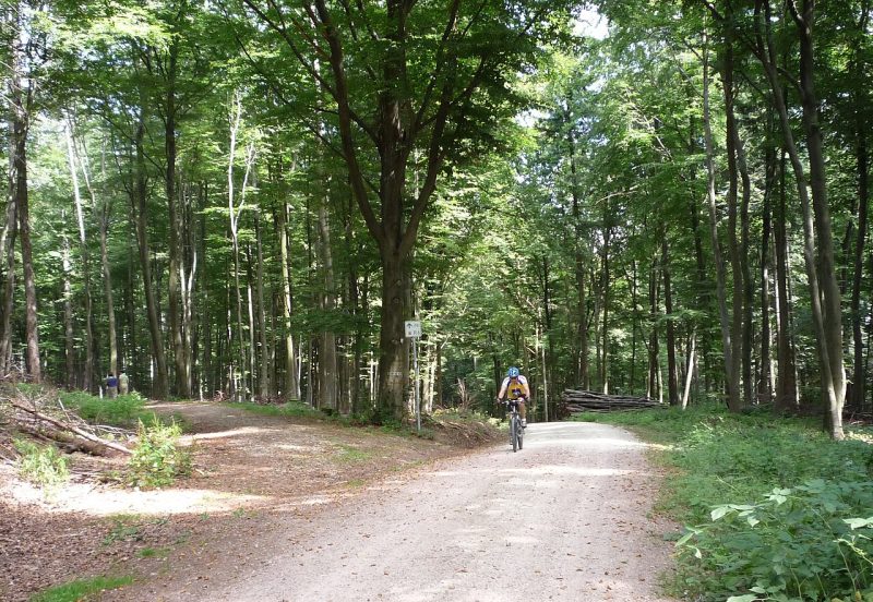 Steinhaufen