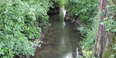 Wickerbach