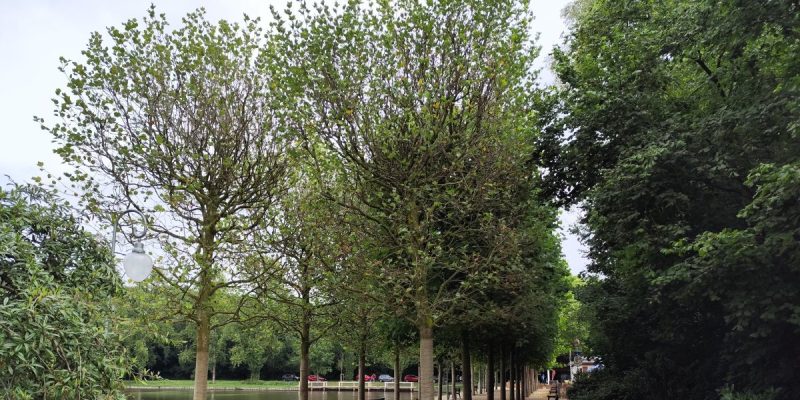 Stadtpark