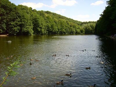 Borbach
