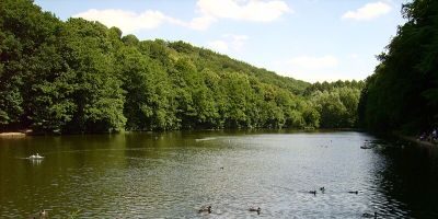 Hammerteich