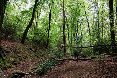 Hardenstein