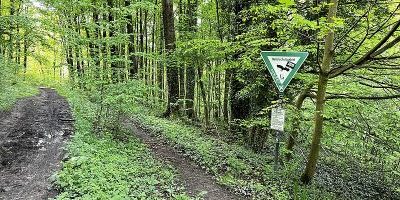 Kermelbach