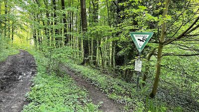 Kermelbach