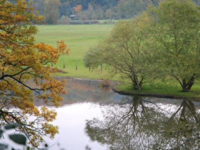 Ruhraue Witten-Gedern
