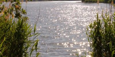 Allersee