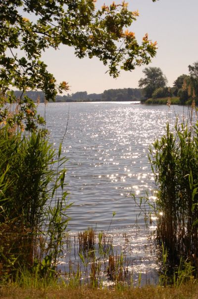 Allersee