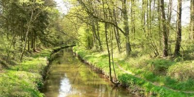 Naturschutzgebiet Barnbruch