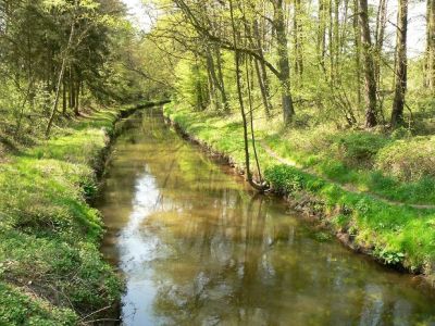 Naturschutzgebiet Barnbruch