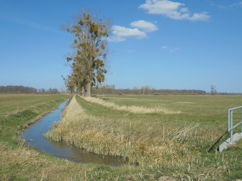 Politz und Hegholz